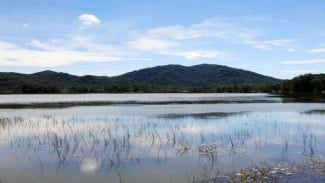Jejak Langkah Pengunjung di Danau Mempayak yang Penuh Pesona