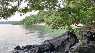 Eksotisme Pantai Bama Baluran, Perpaduan Pasir Putih, Bebatuan, dan Alam Liar