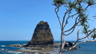 Pantai Papuma, Destinasi Favorit di Jember dengan Panorama Eksotis