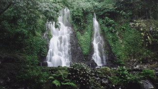 Air Terjun Jagir Banyuwangi, Pesona Aliran Air di Tengah Hutan Alami