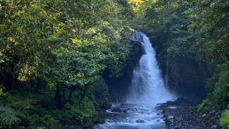 Air Terjun Telunjuk Raung Banyuwangi, Tebing Alam dan Debit Air Deras yang Memukau