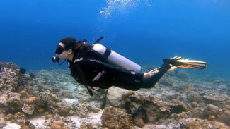 Bangsring Underwater Banyuwangi, Snorkeling Seru dan Rumah Apung di Tengah Laut