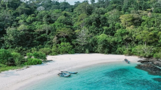 Pantai Wedi Ireng Banyuwangi, Perpaduan Pasir Hitam dan Putih di Balik Bukit Hijau