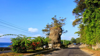 Pantai Grand Watu Dodol Banyuwangi, Ikon Batu Besar di Jalur Pantura dengan Panorama Selat Bali