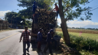 Tanpa Anggaran Resmi, Pengelolaan Limbah Hasil Perempelan di Wongsorejo Jadi Liar?