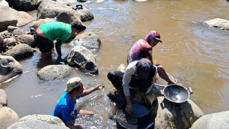 Mengadu Nasib di Dasar Sungai Desa Watukebo, Perjuangan Warga Berburu Butiran Emas