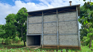 Pabrik Pengeringan Jagung di Desa Alasbuluh Lebih dari Setengah Miliar Terbengkalai