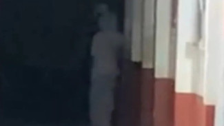 Masyarakat Banyuwangi Kompak Update Story WA Terkait Isu Teror Pocong