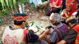 Peran Hukum Adat Dayak dalam Festival Irau Malinau