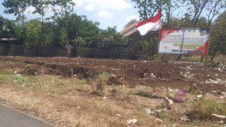 Nasib Tragis Proyek KDMP Watukebo: Habis Tebang Pohon Jati, Terbitlah Mangkrak?