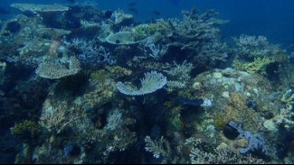 Pesona Tempat Wisata di Bali Utara, Salah Satunya Tidak Kalah dari Phi Phi Islands di Thailand