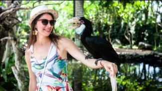 Daftar Kebun Binatang di Bali yang Bisa Dikunjungi Saat Libur Sekolah, Salah Satunya Bali Bird Park