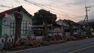Mengenakan Rompi Pekerja, Orang Tidak Dikenal Tebang 5 Pohon Perindang Secara Ilegal di Desa Sidodadi