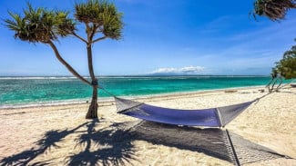 Eksotisme Gili Trawangan: Harmoni Alam, Penyu, dan Ekowisata