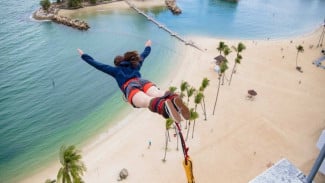 Serunya Wisata di Sentosa Island: Adventure Cove hingga S.E.A. Aquarium