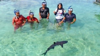 Mengenal Lebih Dekat Penangkaran Hiu Menjangan Besar di Karimunjawa