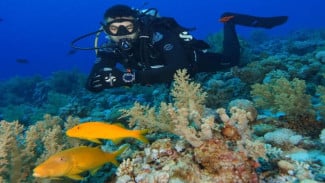 Keindahan Bawah Laut dan Ekowisata Taman Nasional Kepulauan Seribu