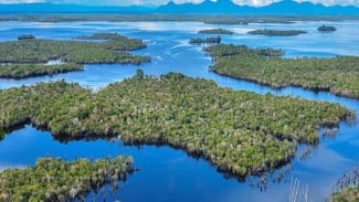 Kearifan Lokal dan Etika Wisata di Danau Sentarum