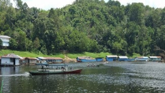 Pesona Alam dan Petualangan di Taman Nasional Bukit Baka Bukit Raya