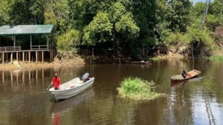 Menyingkap Keajaiban Alam dan Kearifan Lokal di Taman Nasional Berbak