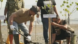 Penanaman Mangrove di Bima Diminta Berlanjut, Jaga Pesisir