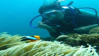 Memotret Keindahan Laut Tanpa Mengganggu Satwa