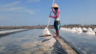 Mengenal Tradisi Petambak Garam Madura dari Dekat