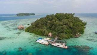 Wisata Bahari Berkelanjutan: Menjaga Terumbu Karang Indonesia