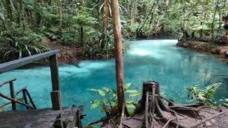 Kali Biru Prafi, Surga Air Jernih di Papua Barat