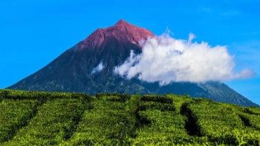 img_title