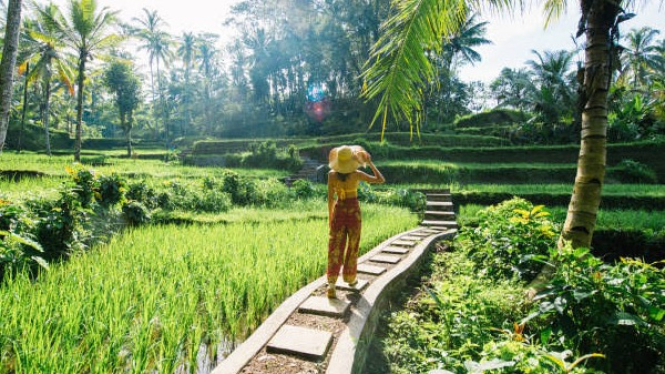 Bali dengan keindahan alamnya bisa jadi awal