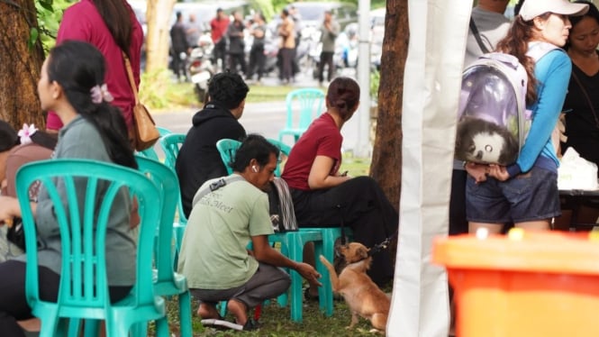 Vaksinasi Rabies Massal Tahun 2025 di Lapangan Mini