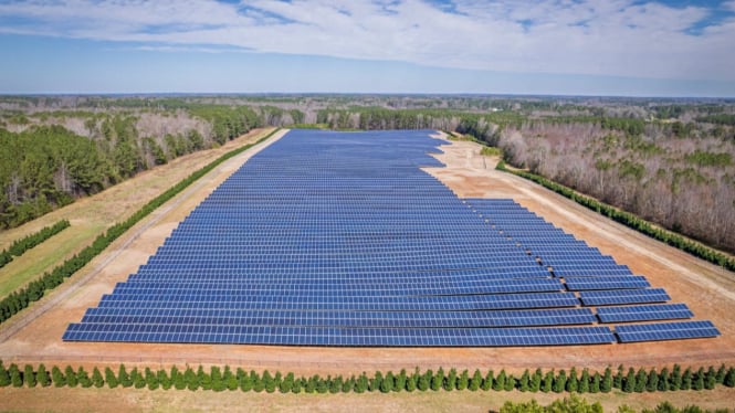 Ilustrasi Solar Panel / Panel Surya