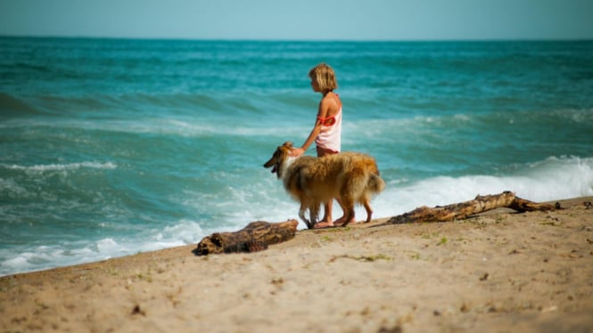 Ilustrasi berlibur di pantai bersama anjing