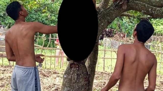 Warga Sekotong digegerkan penemuan jasad pria tergantung di pohon