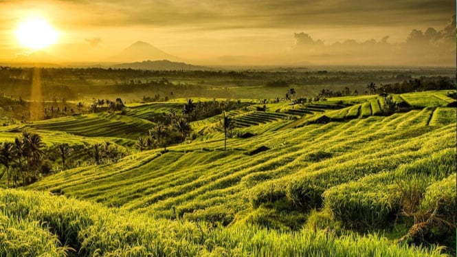 Keindahan desa Jatiluwih dengan gelar Best Tourism Village