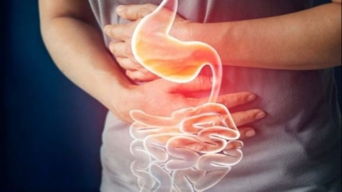 Jangan Anggap Remeh, Sembelit Dapat Disebabkan oleh Makanan Sehat