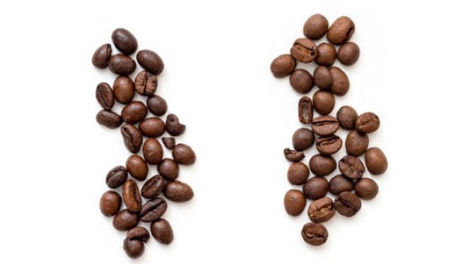 Biji Kopi Robusta dan Arabika Memiliki Cita Rasa yang Berbeda
