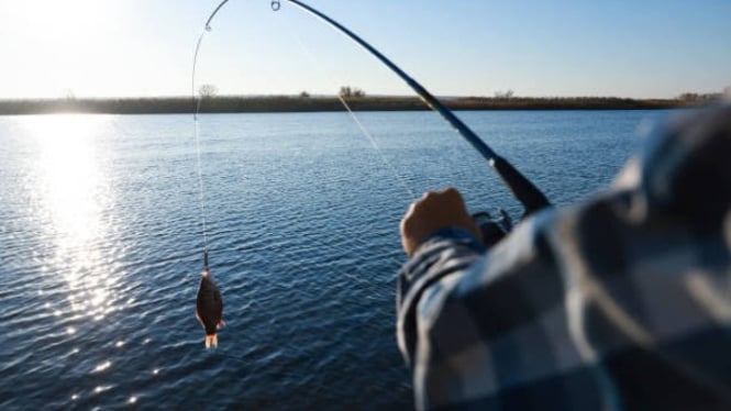 Memulai hobi memancing diperlukan pengetahuan dasar