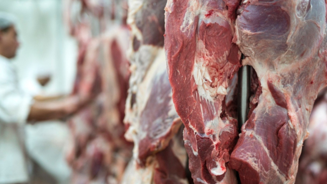 Ilustrasi Daging Kambing