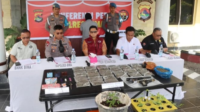 Polres Bima amankan 900 gram ganja dan 13 tanaman siap panen