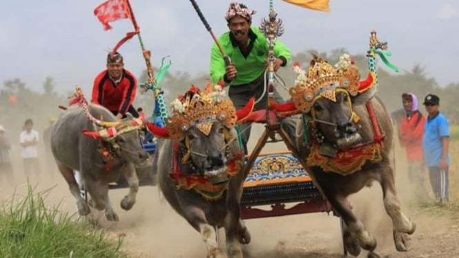 Mekepung adalah salah satu olahraga tradisional terkenal dari Bali