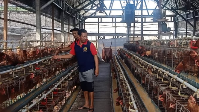 Pokja Ayam petelor di Rutan Negara