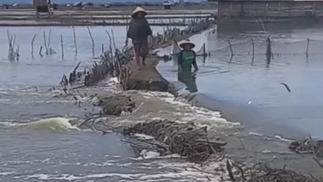 Tambak bandeng warga di Kabupaten Bima diterjang banjir Rob
