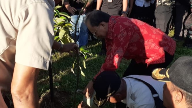 Gubernur Bali Wayan Koster tanam pohon di Kebun Raya Gianyar