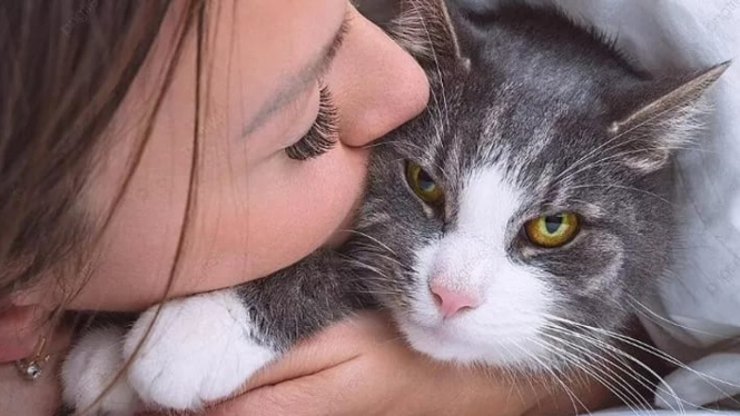 Jangan sering cium kucing, kalau belum tau resikonya!