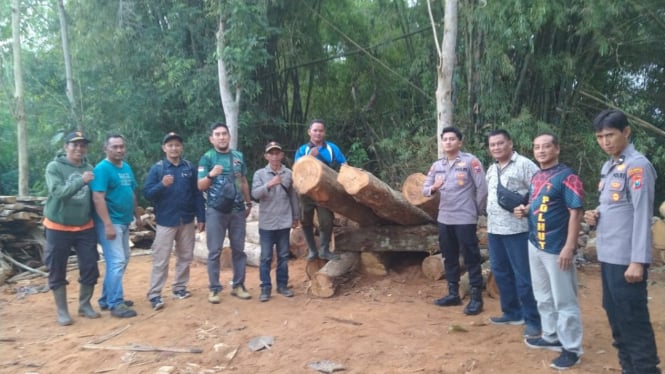 Petugas gabungan gebek tempat gergajian.