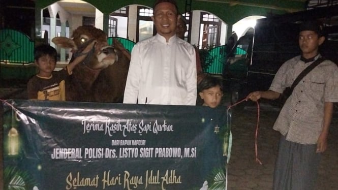 Sapi qurban dari Kapolri di Desa Sidowangi, Kecamatan Wongsorejo
