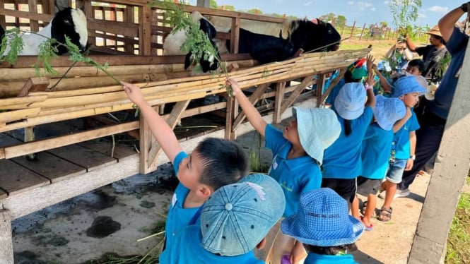 Wisatawan memberikan makan hewan di Subak Teba Majalangu