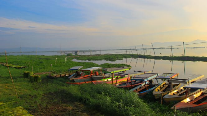 Deretan perahu nelayan di Danau Rawa Pening, Indonesia
